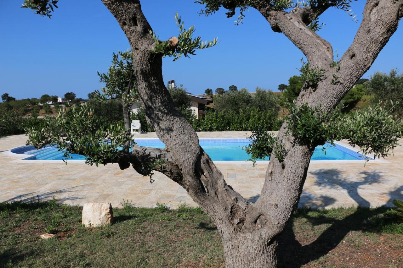Eremo Del Dotto Aparthotel อัลเบโรเบลโล ภายนอก รูปภาพ